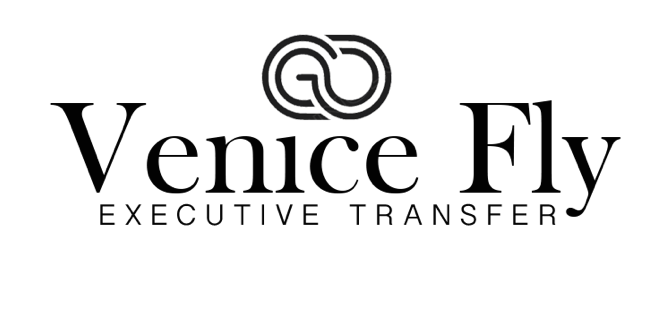 my taxi venice servizio taxi